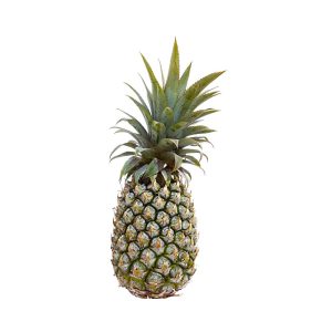 Ananas Guadeloupe la pièce